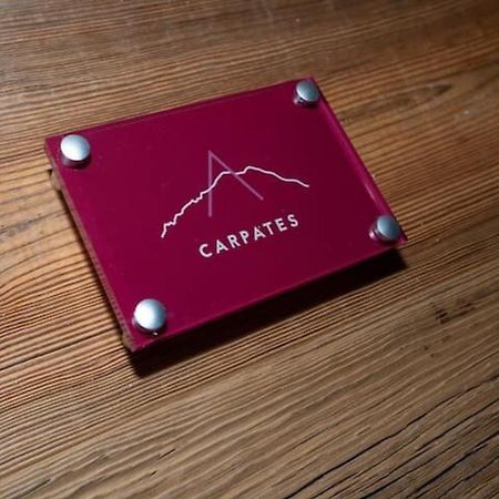 Carpates Annecy Rent Lodge エクステリア 写真